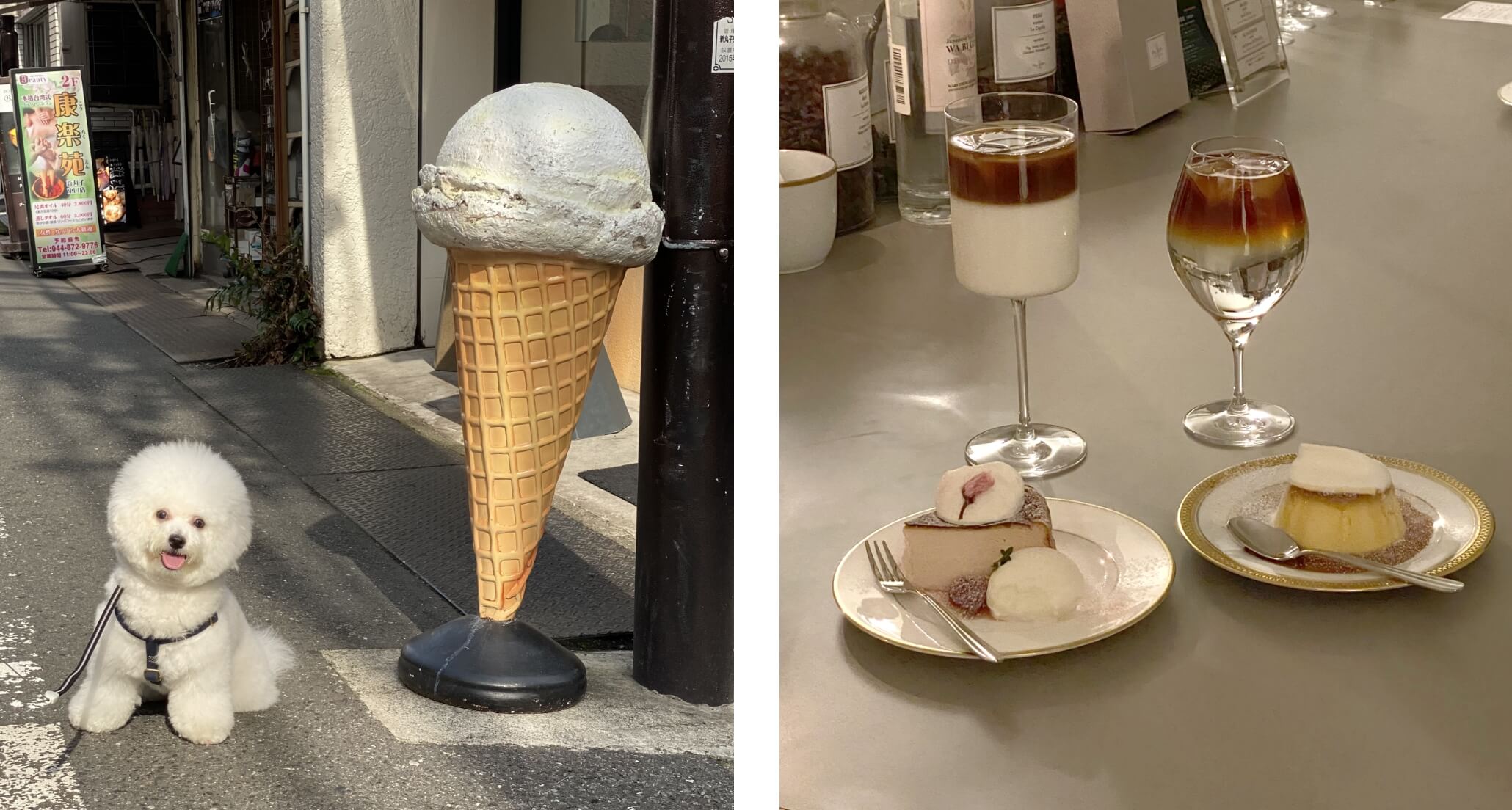 ペットライフ事業部 ペット事業管理室