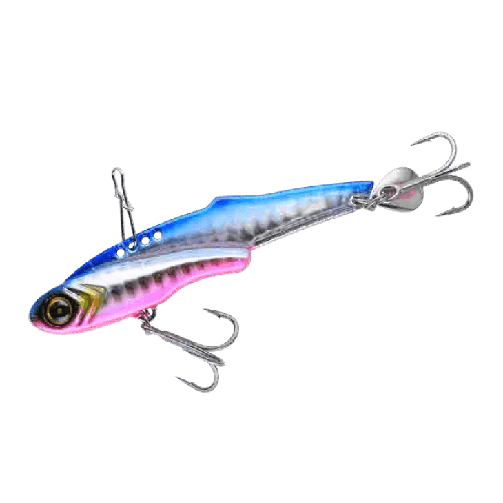 ケイムラブルピンイワシ