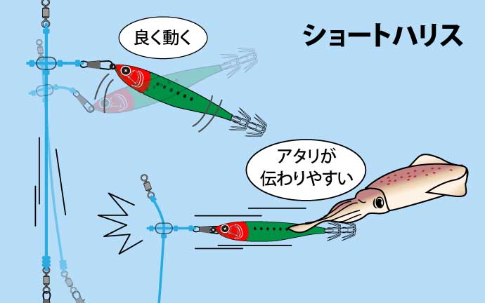 ショートハリスについて