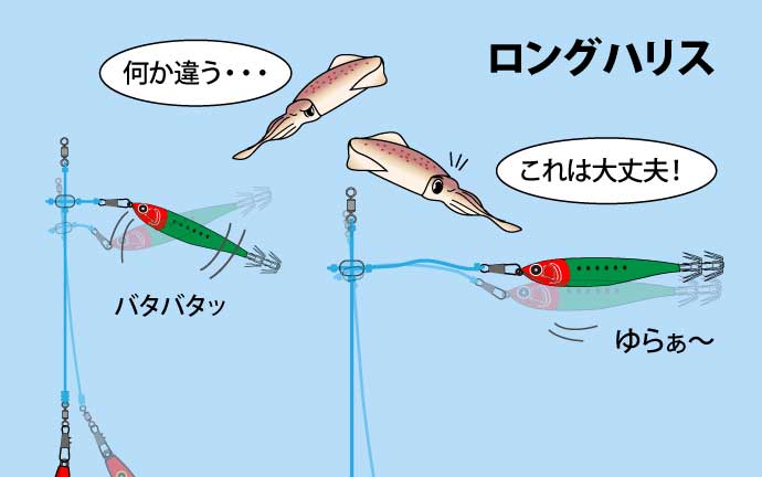 ロングハリスについて