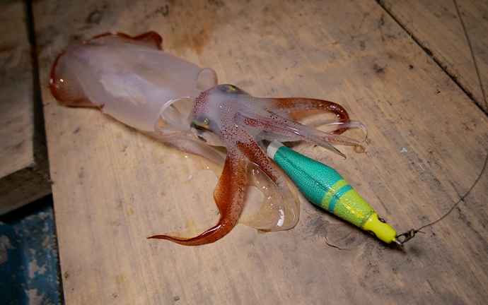 メタルスッテのカラーについて