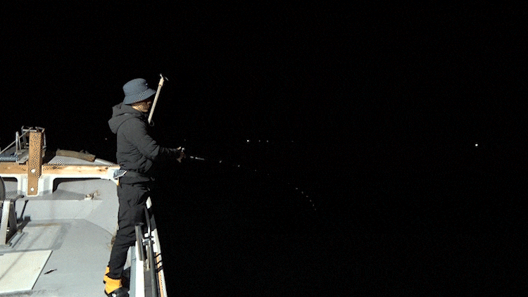 シェイクの映像