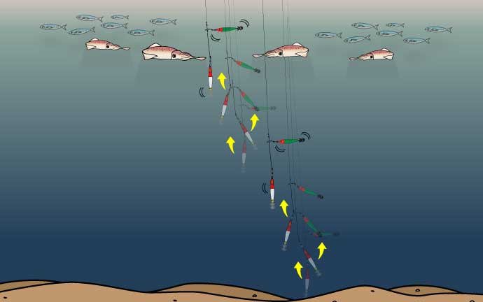 ワンピッチジャークについて