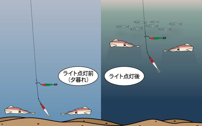 時間帯別の釣り方