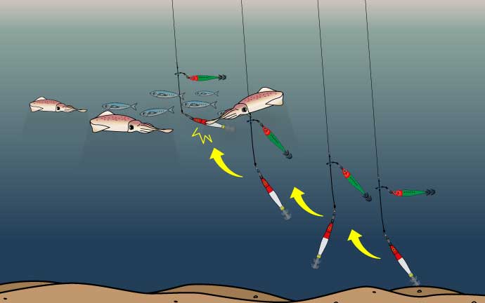 タナを見つけるイラスト