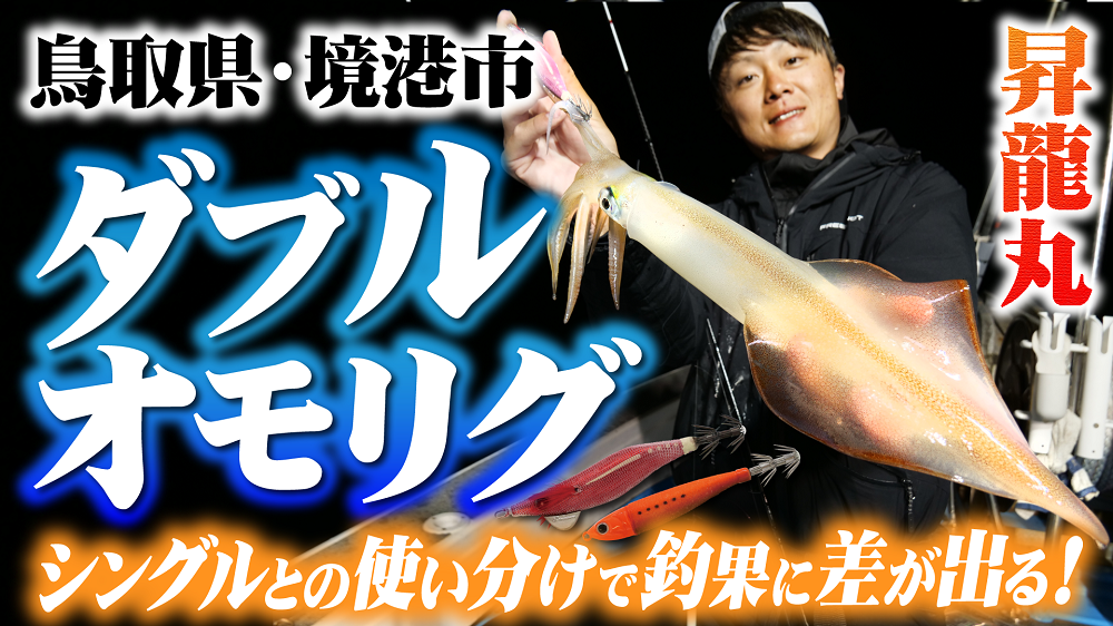 【日本海オモリグ】釣果に差が出る！ダブルとシングルの使い分けで良型連発！in鳥取県・境港