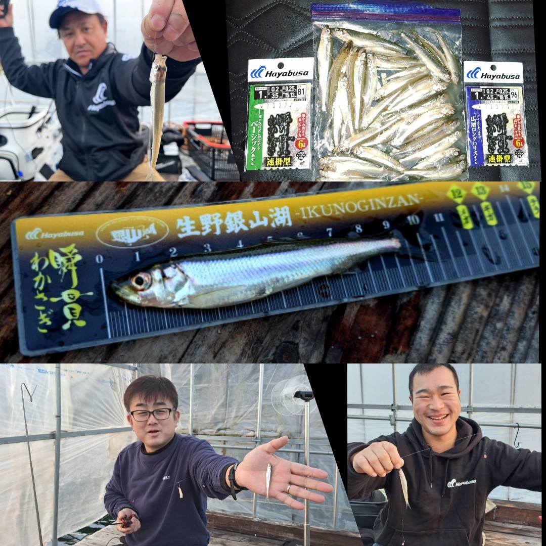 わかさぎ（6㎝～12㎝を26匹)・・・芝 釣果