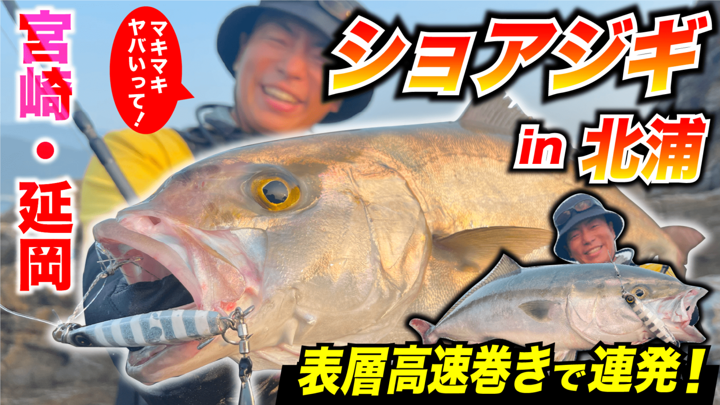 【ジャックアイ】表層高速巻きで連発！宮崎タダ巻きロックショアジギング！【ショアジギ】