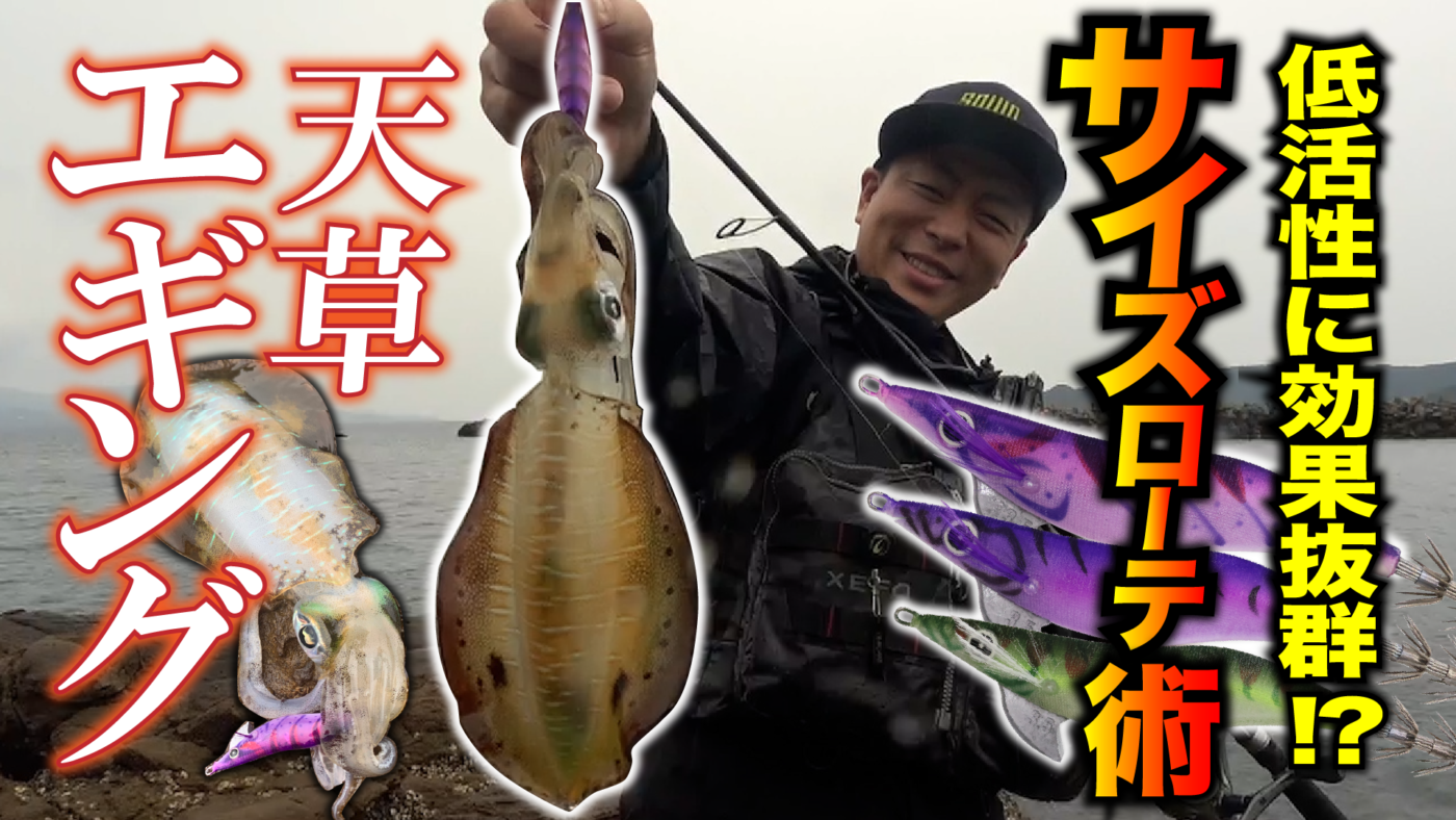 【天草エギング】低活性にはサイズローテーションが効く！ハグハグ3号&2.5号で楽しむショアエギング！【ハグハグ】