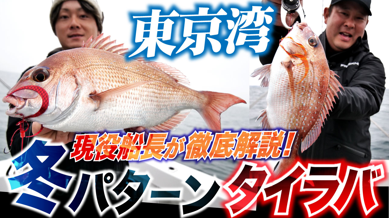 【東京湾タイラバ】冬パターン開幕！現役船長が東京湾タイラバを徹底解説！