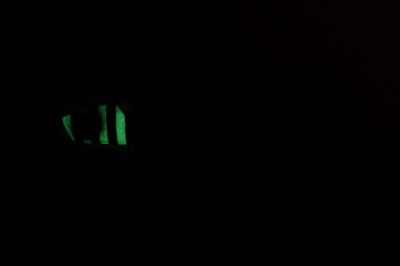 2.ケイムラムラピン夜光ゼブラ(発光イメージ)