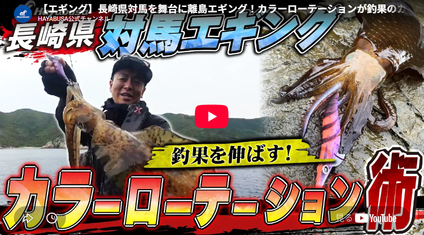 【エギング】長崎県対馬を舞台に離島エギング！カラーローテーションが釣果のカギ！