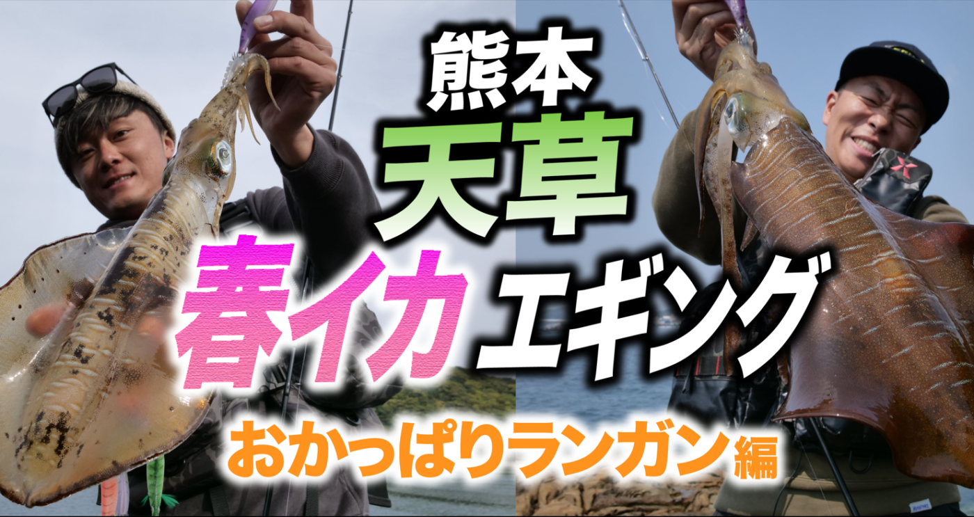 【春イカ】天草おかっぱりランガンエギング！スクイッドジャンキー・ハグハグで良型春イカ降臨！