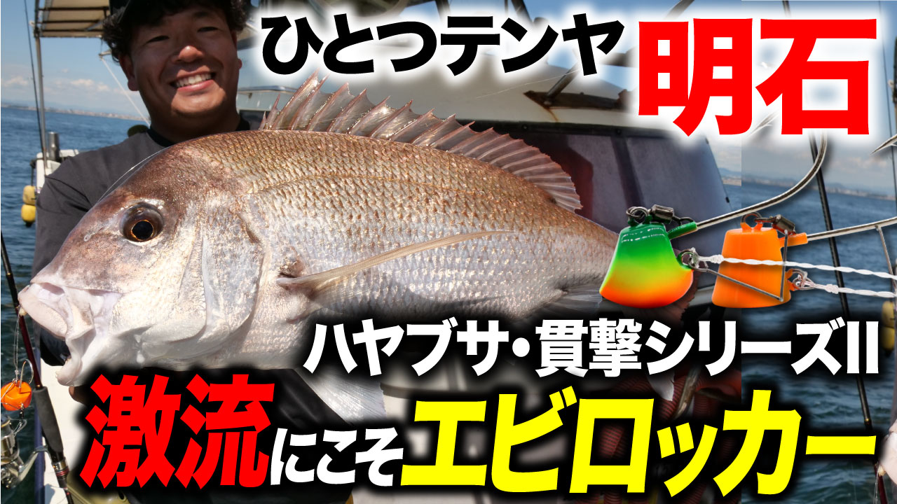 【一つテンヤ】明石の激流にこそエビロッカー！ハヤブサ・貫撃シリーズⅡで流行中の明石一つテンヤを攻略！