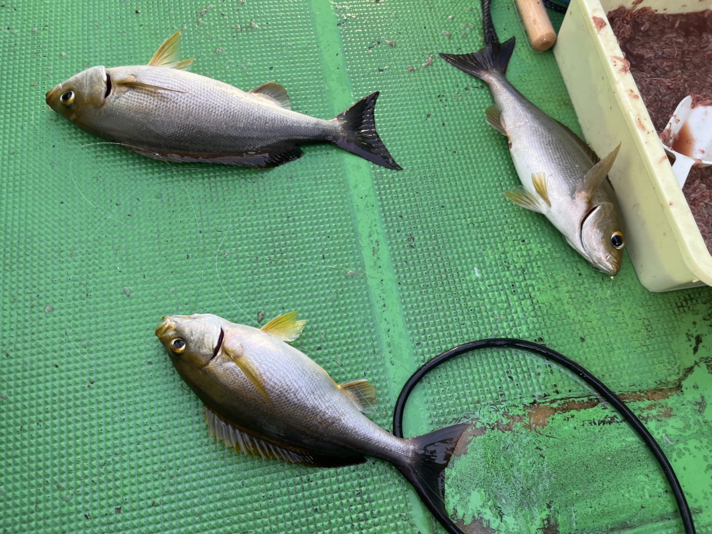 扱いやすい長さ