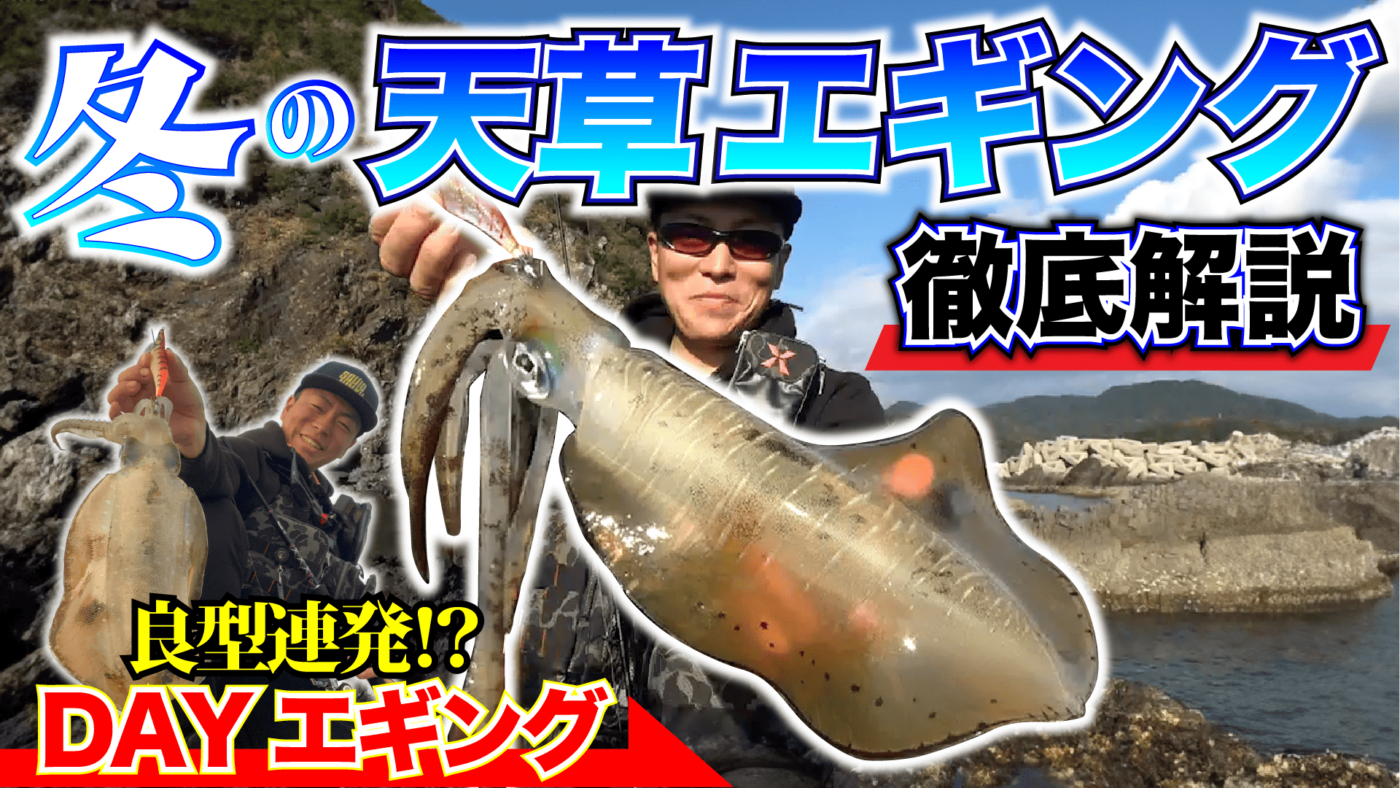 【天草冬エギング】冬イカは回遊狙いで良型確保！ハグハグで楽しむ冬エギング！【スクイッドジャンキー】