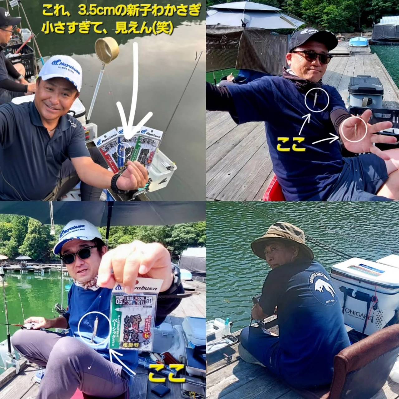 わかさぎ（3㎝～11㎝を36匹）芝釣果