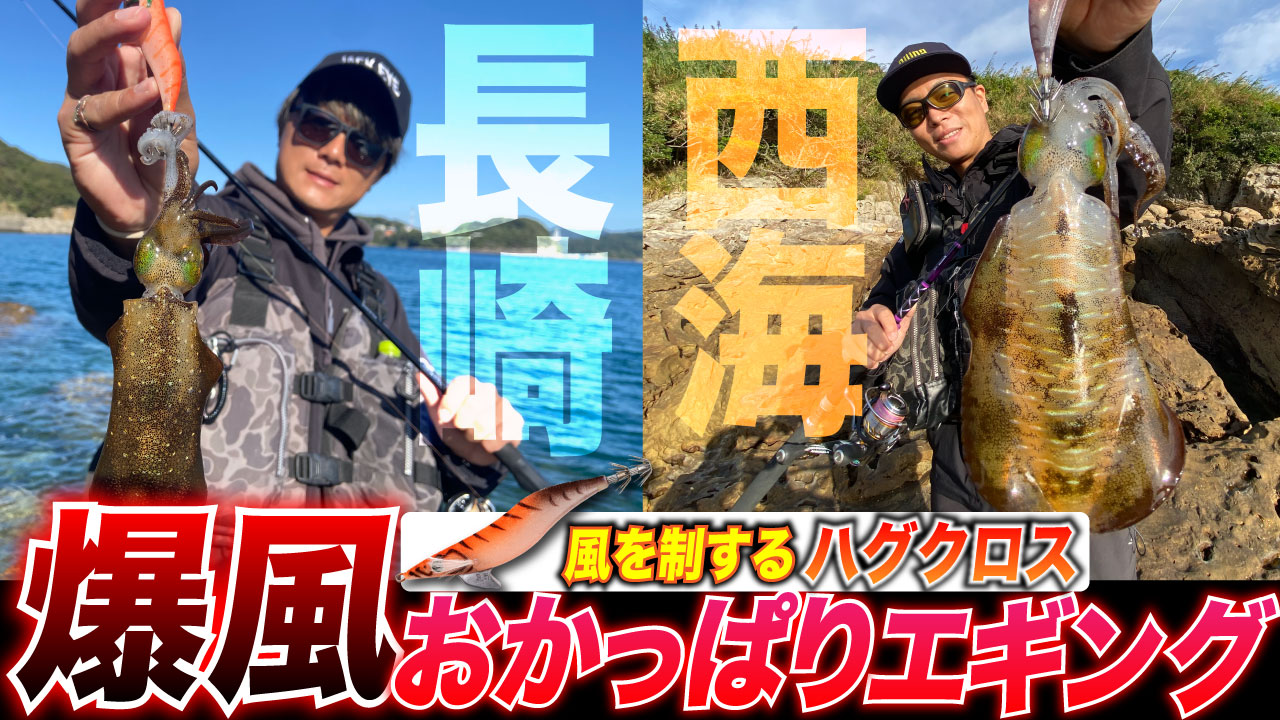 【爆風エギング】風を制するハグクロス!?長崎・西海で楽しむおかっぱりエギング！