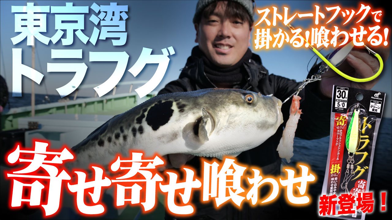 【東京湾】トラフグ開幕！新登場「寄せ寄せ喰わせ」でシーズン序盤の東京湾トラフグ完全攻略！