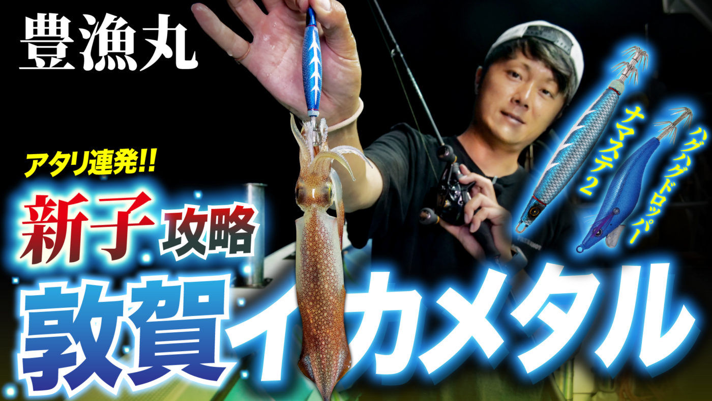 【敦賀】アタリを連発させる新子攻略法｜敦賀新子イカメタル【豊漁丸】
