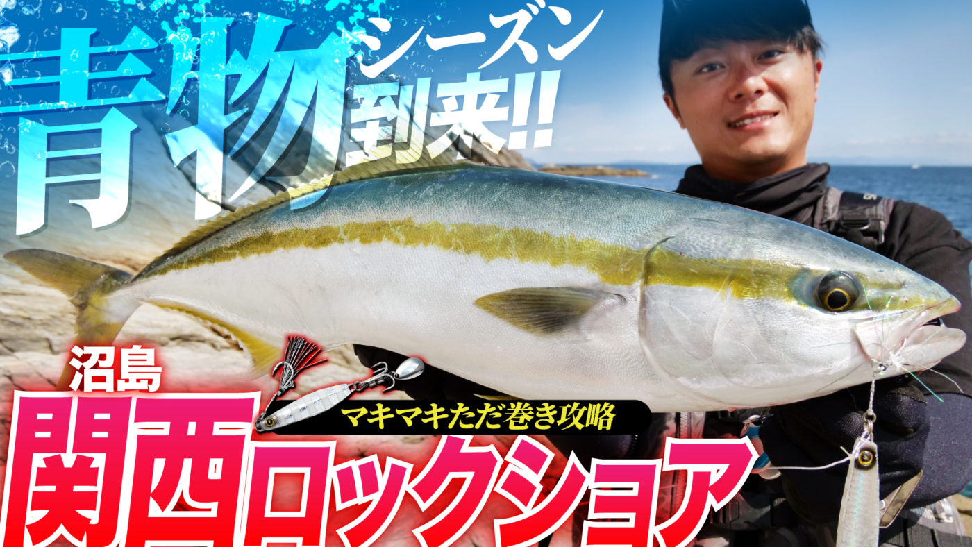 【シーズン到来】秋の青物狙い！！マキマキで狙うただ巻き青物攻略【関西ロックショア】